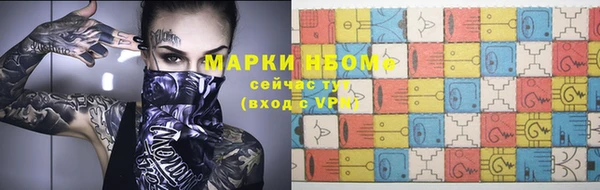 прущие грибы Абаза