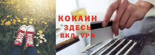 прущие грибы Абаза