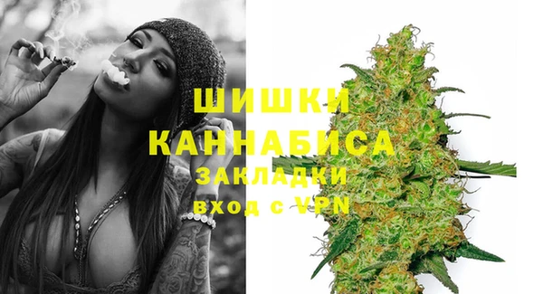 прущие грибы Абаза