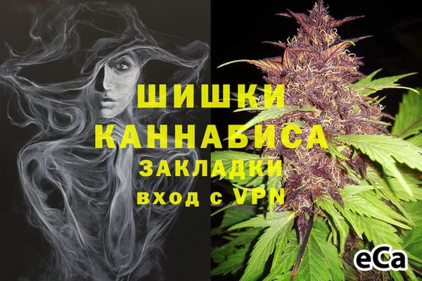 прущие грибы Абаза