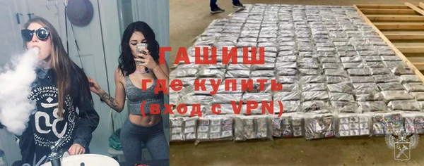 прущие грибы Горно-Алтайск